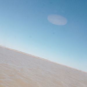 ЦЫПЛЯТ ПО ОСЕНИ СЧИТАЮТ