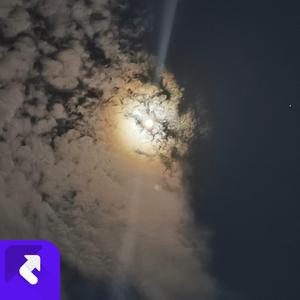 彩云编织的梦境 (现场)