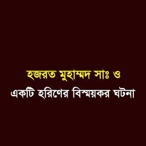 হজরত মুহাম্মদ সাঃ ও একটি হরিনের বিস্ময়কর ঘটনা