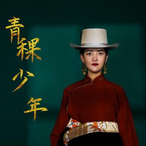 青稞少年
