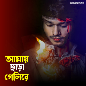 আমায় ছাড়া গেলিরে