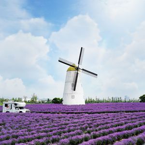 月亮岛上的月亮