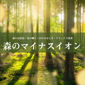 目を閉じて森の中にいる感覚ＢＧＭ