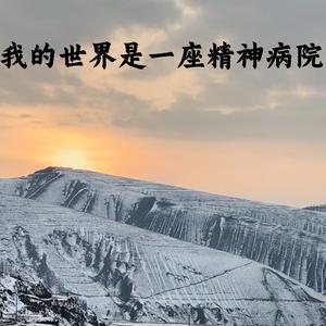 我的世界是一座精神病院 (我是里面的精神病人)