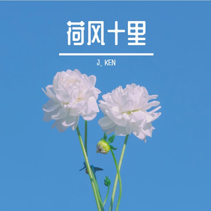 花信来迟