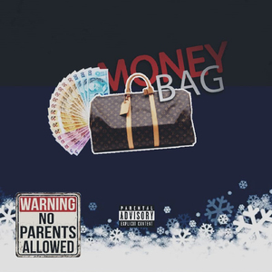 Money Bag