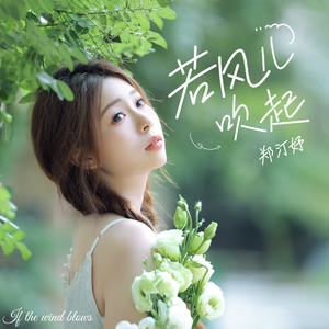 若风儿吹起