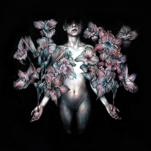 Trace the Lines (Instrumental)