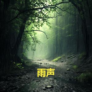 非常适合睡觉的大暴雨 · 最适合睡觉的雨声 · 深度睡眠雨声 · 助眠雨声帮助严重失眠人群 · 雷雨声催眠纯音乐 (重复播放，无淡入淡出, 白噪音雨声 - 睡眠、放松、专注、冥想、学习)