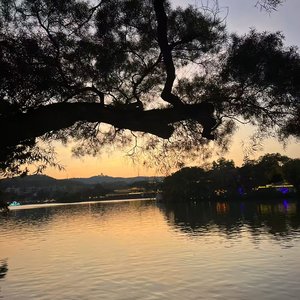 还是会想你（DJ）