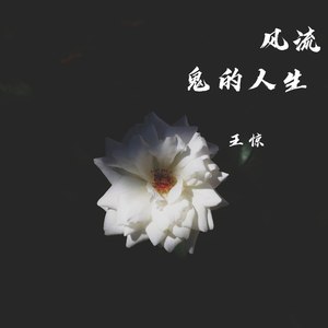 风流鬼的人生