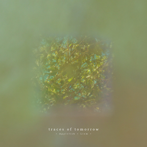 traces of tomorrow