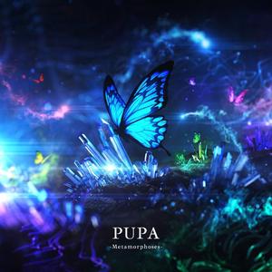 PUPA (xi Remix)