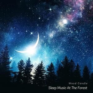 Dream In The Sky