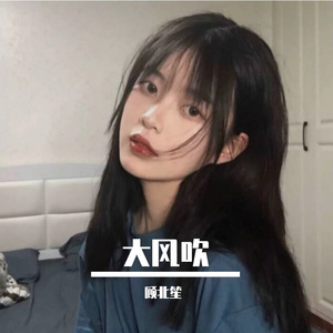 大风吹(抖音热搜BGM)