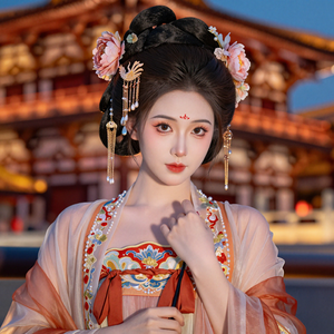 长安望归