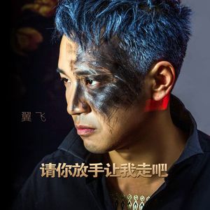 请你放手让我走吧（伴奏）-翼飞