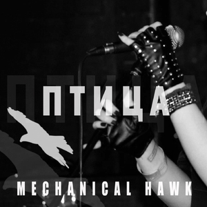 Птица