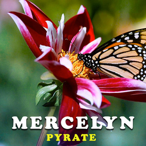 Mercelyn