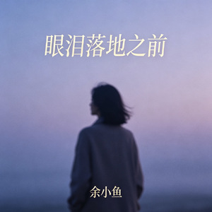 眼泪落地之前(和声伴奏)