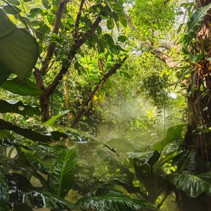 给植物的生命赞歌3（秋）