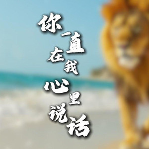 你一直在我心里说话
