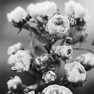 噩梦（Prod. By D. C. C）