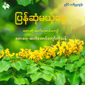 ပြန်ဆုံမယ့်နွေ