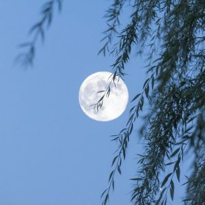 清风明月伴悠然