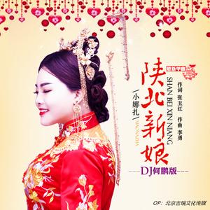 陕北新娘-DJ何鹏版
