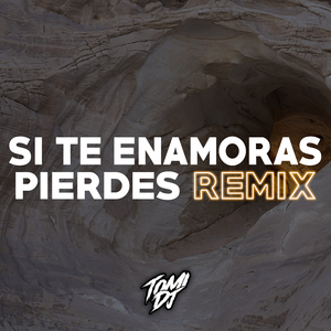 Si Te Enamoras Pierdes (Remix)