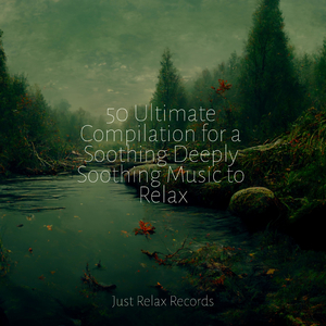 Tranquil Bath Bliss