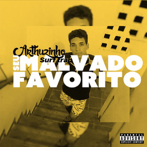 Seu Malvado Favorito