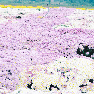 孤单而漫长的日子 (经典钢琴曲)