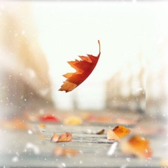 匆匆走完这一生