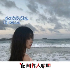 风儿轻轻地吹 (DJ版)