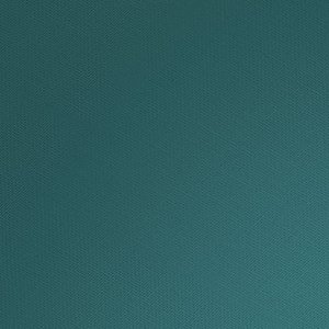 森林的夜