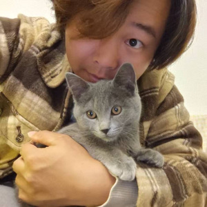 给姐姐的一封信