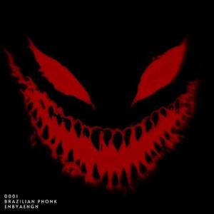 BRAZILIAN PHONK (PR FUNK)