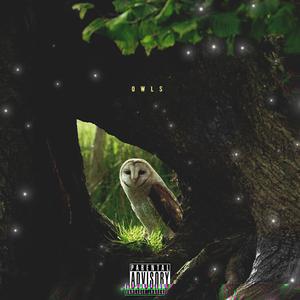 Owls (feat. Chris O'Bannon)