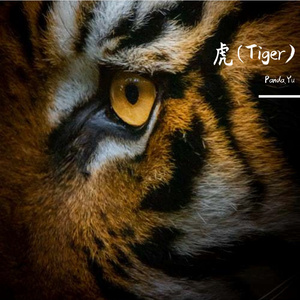 虎(Tiger)