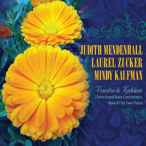 Grand Duo Concertant, Op. 87, No. 3: II. Larghetto melancolico