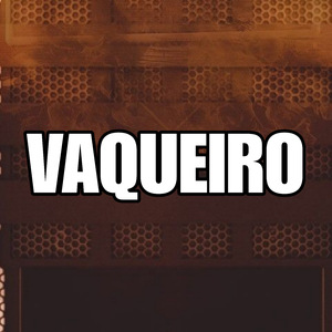 VAQUEIRO