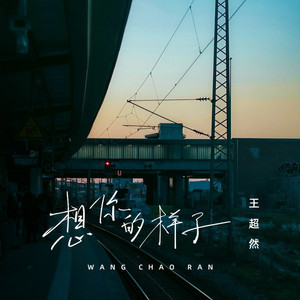 想你的样子 (DJ阿本版)