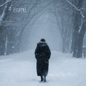 谁的人生不是大雪纷飞