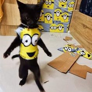 It's ok I'm ok (sped up)