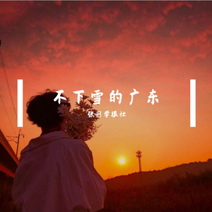 不下雪的广东-DJ版
