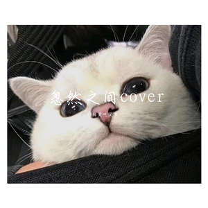 朱主爱-【好想你】——付付_01（付付爱吃菠萝丶 remix）