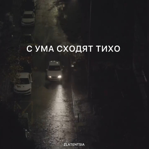 С ума сходят тихо