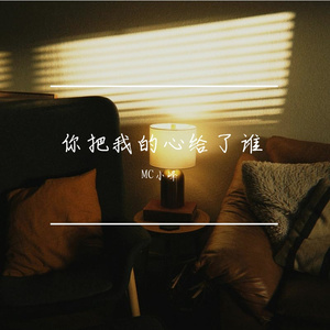 你把我的心给了谁